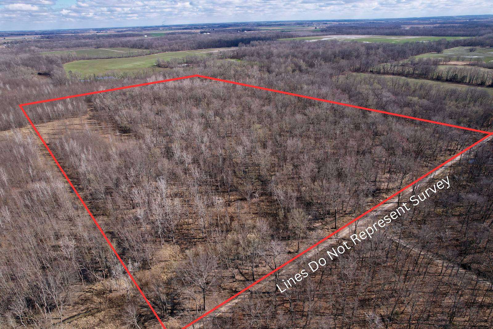 32 Acres of Recreational Land for Sale in Clay City, Illinois
