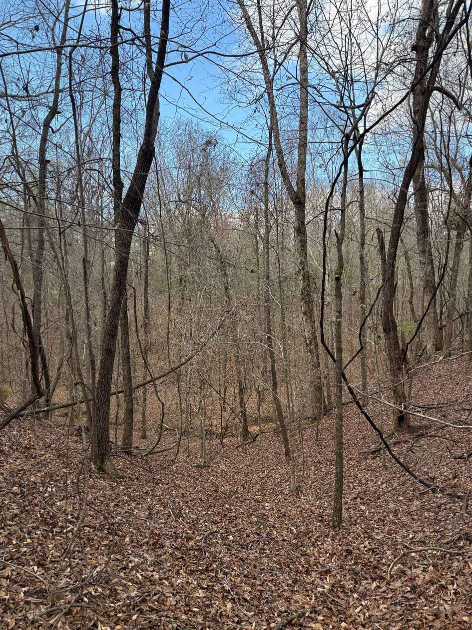 8 Acres of Residential Land for Sale in Ackerman, Mississippi