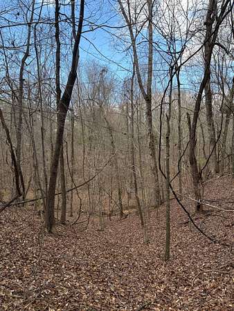 8 Acres of Residential Land for Sale in Ackerman, Mississippi