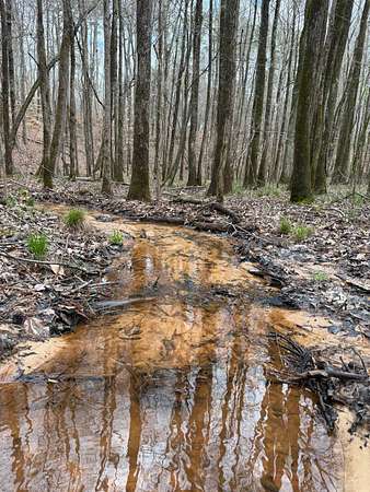 9.75 Acres of Residential Land for Sale in Ackerman, Mississippi