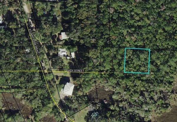 0.33 Acres of Land for Sale in Crawfordville, Florida