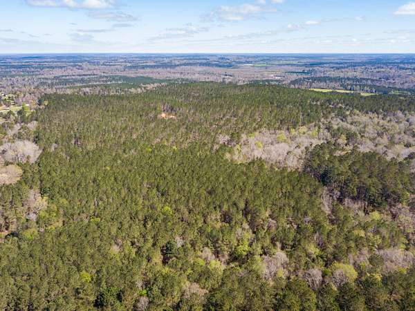 5.4 Acres of Residential Land for Sale in Ellisville, Mississippi