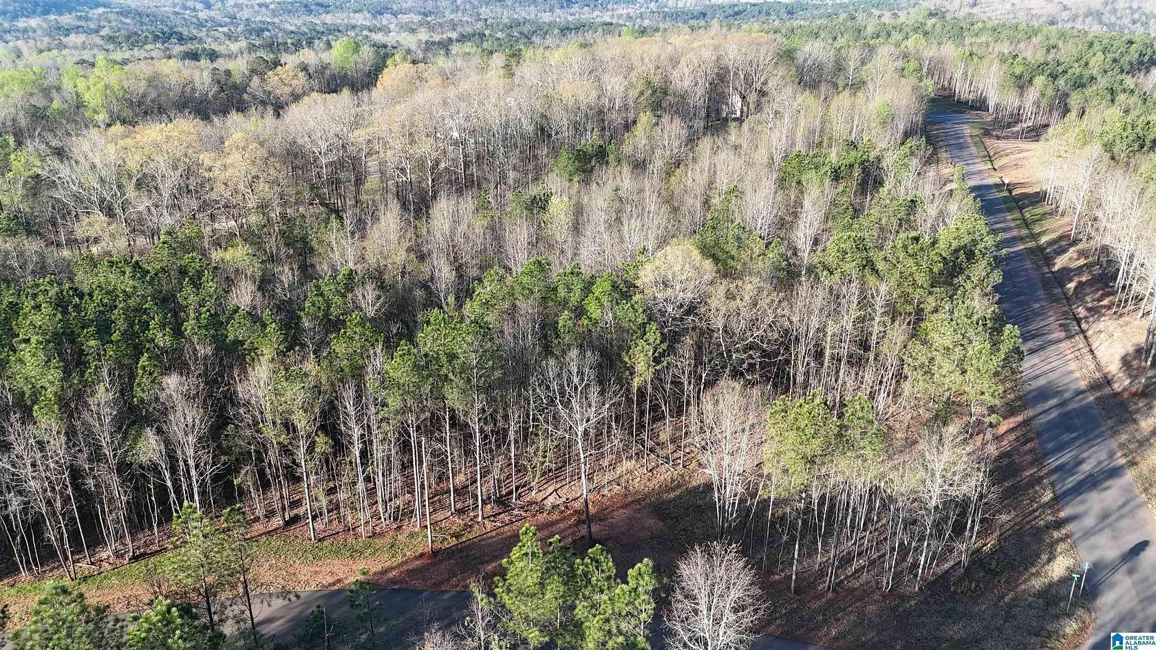 3.5 Acres of Residential Land for Sale in Helena, Alabama