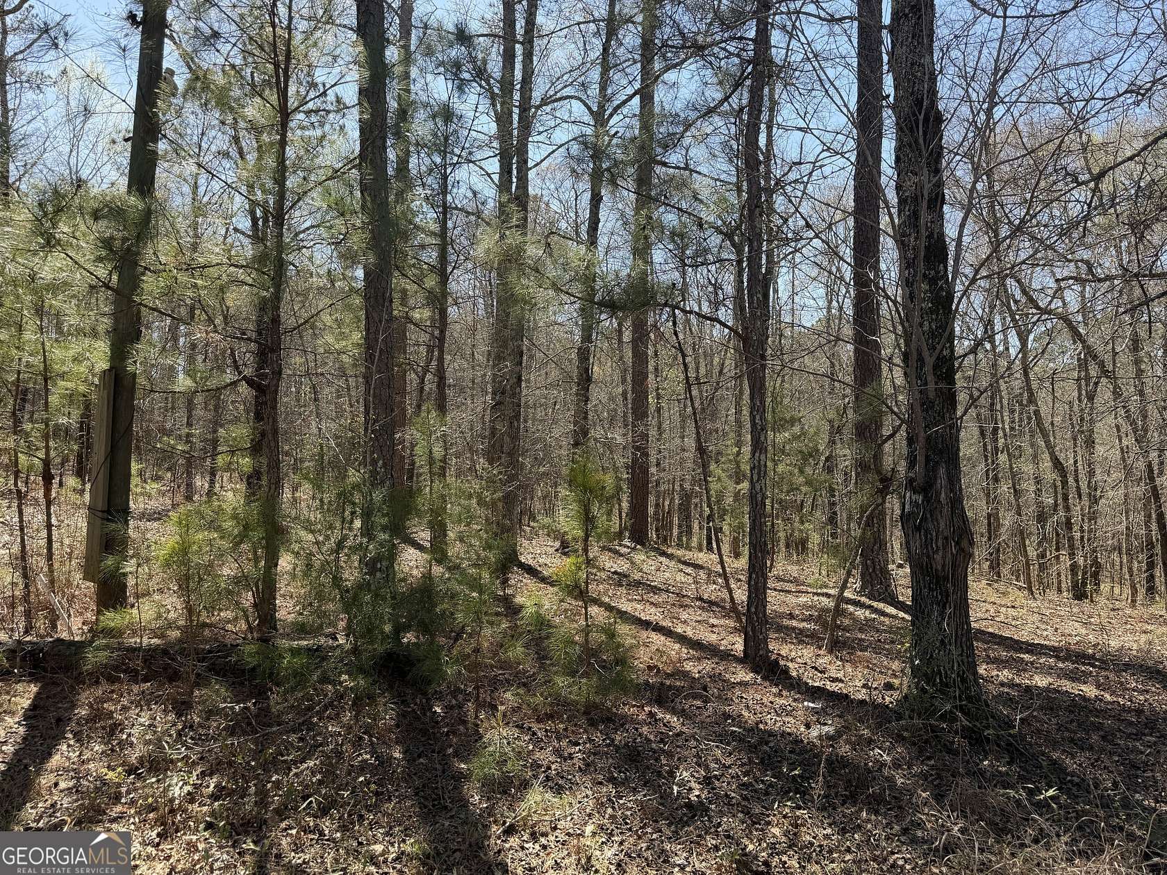 29.3 Acres of Recreational & Residential Land for Sale in Locust Grove, Georgia