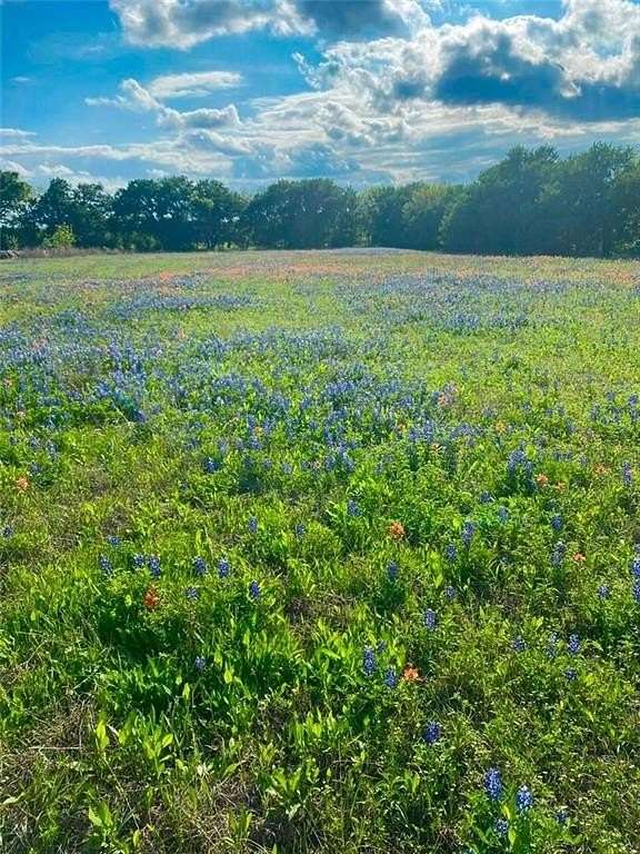 38 Acres of Recreational & Residential Land for Sale in Axtell, Texas