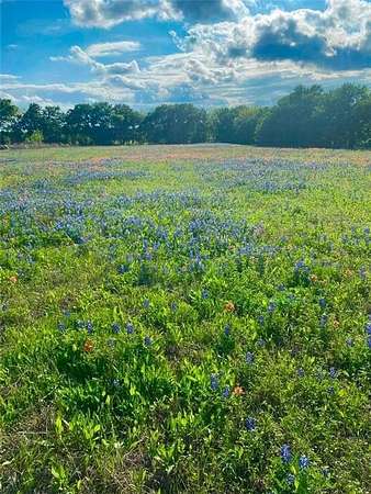 38 Acres of Recreational & Residential Land for Sale in Axtell, Texas