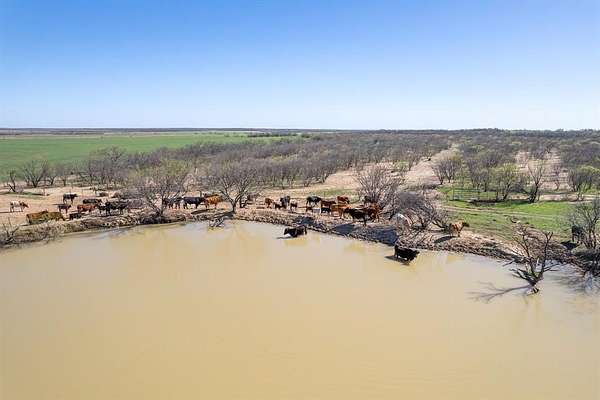 163 Acres of Agricultural Land for Sale in Coleman, Texas