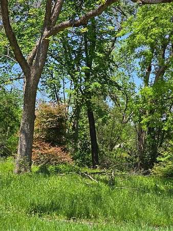 0.2 Acres of Residential Land for Sale in Corsicana, Texas