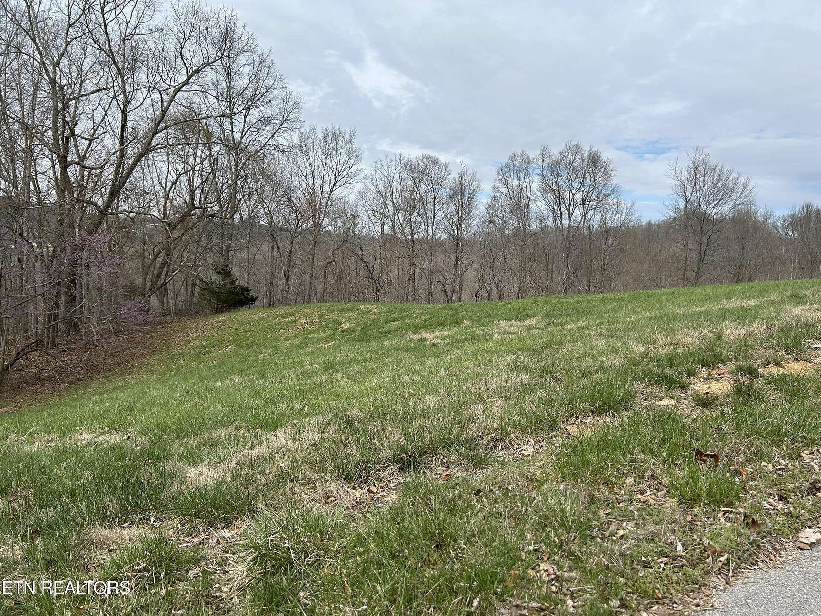 2.6 Acres of Residential Land for Sale in New Tazewell, Tennessee