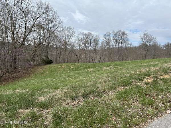 2 Acres of Residential Land for Sale in New Tazewell, Tennessee