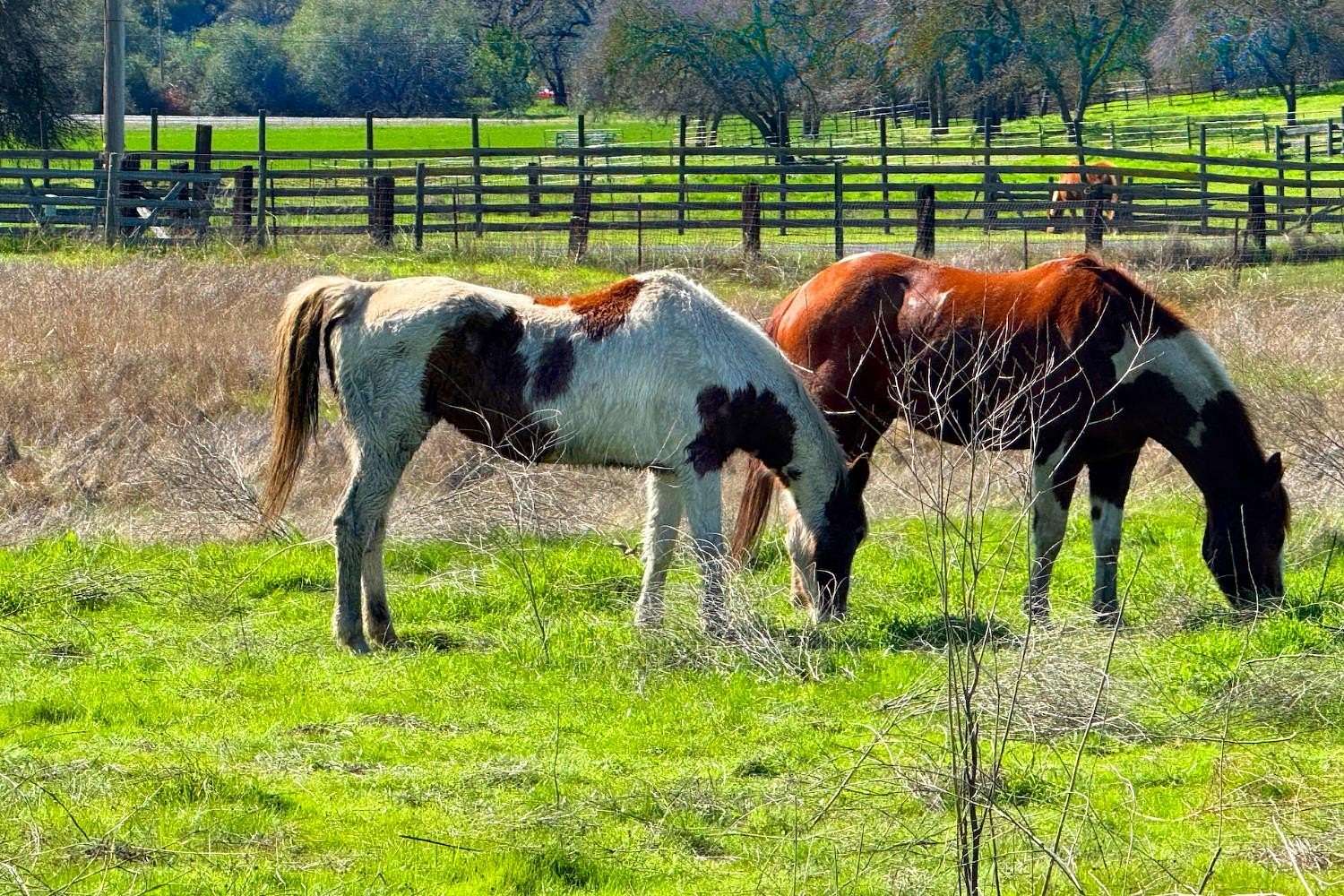 10.3 Acres of Land with Home for Sale in Wallace, California