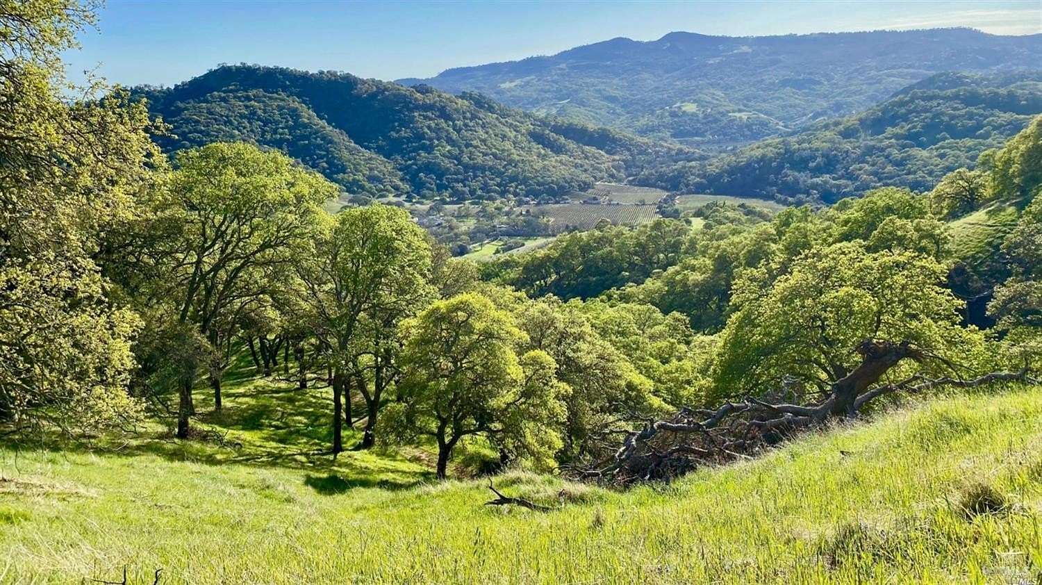 20 Acres of Recreational & Residential Land for Sale in Napa, California