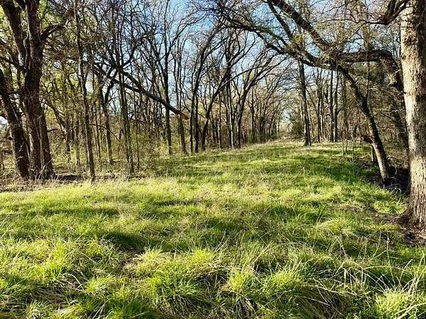 20 Acres of Land for Sale in Dublin, Texas