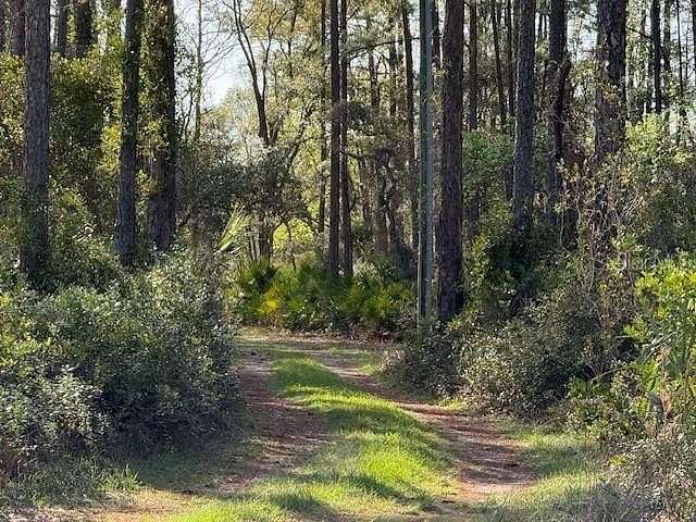 5 Acres of Land for Sale in Inglis, Florida