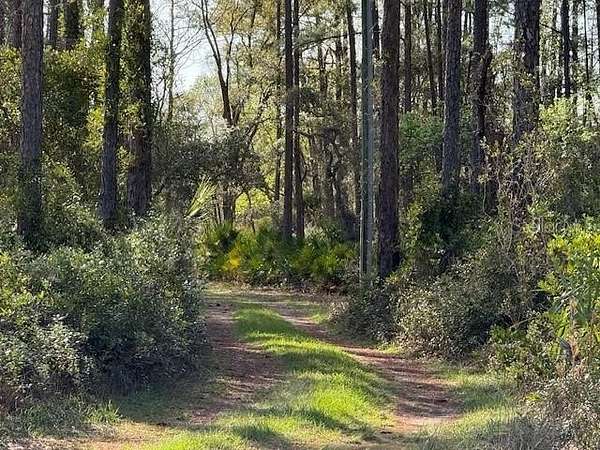 5 Acres of Land for Sale in Inglis, Florida