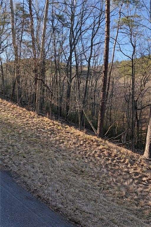 0.43 Acres of Residential Land for Sale in Waleska, Georgia
