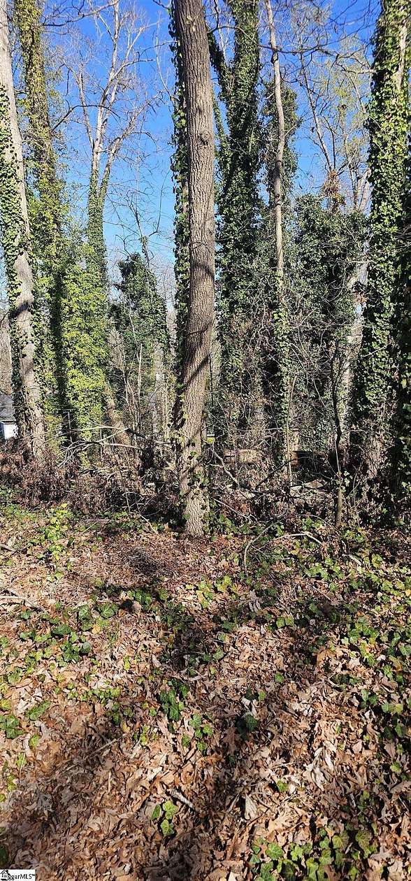 0.2 Acres of Residential Land for Sale in Greenville, South Carolina