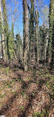 0.2 Acres of Residential Land for Sale in Greenville, South Carolina