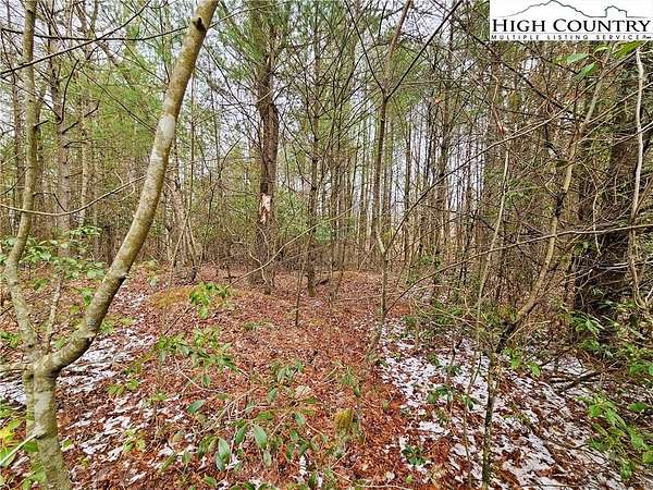 1.3 Acres of Residential Land for Sale in Warrensville, North Carolina
