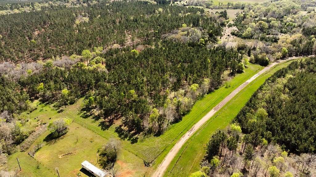 12.3 Acres of Recreational & Residential Land for Sale in Palestine, Texas