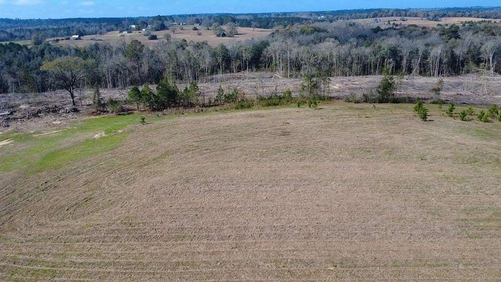 10.5 Acres of Land for Sale in Ozark, Alabama