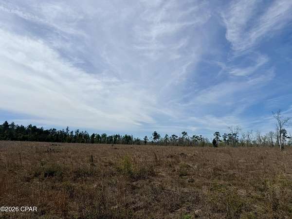 23 Acres of Recreational & Residential Land for Sale in Marianna, Florida