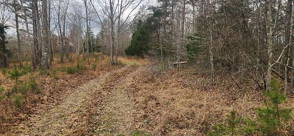 15 Acres of Land for Sale in Shady Grove, Tennessee