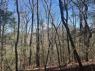 0.88 Acres of Residential Land for Sale in Cherry Log, Georgia