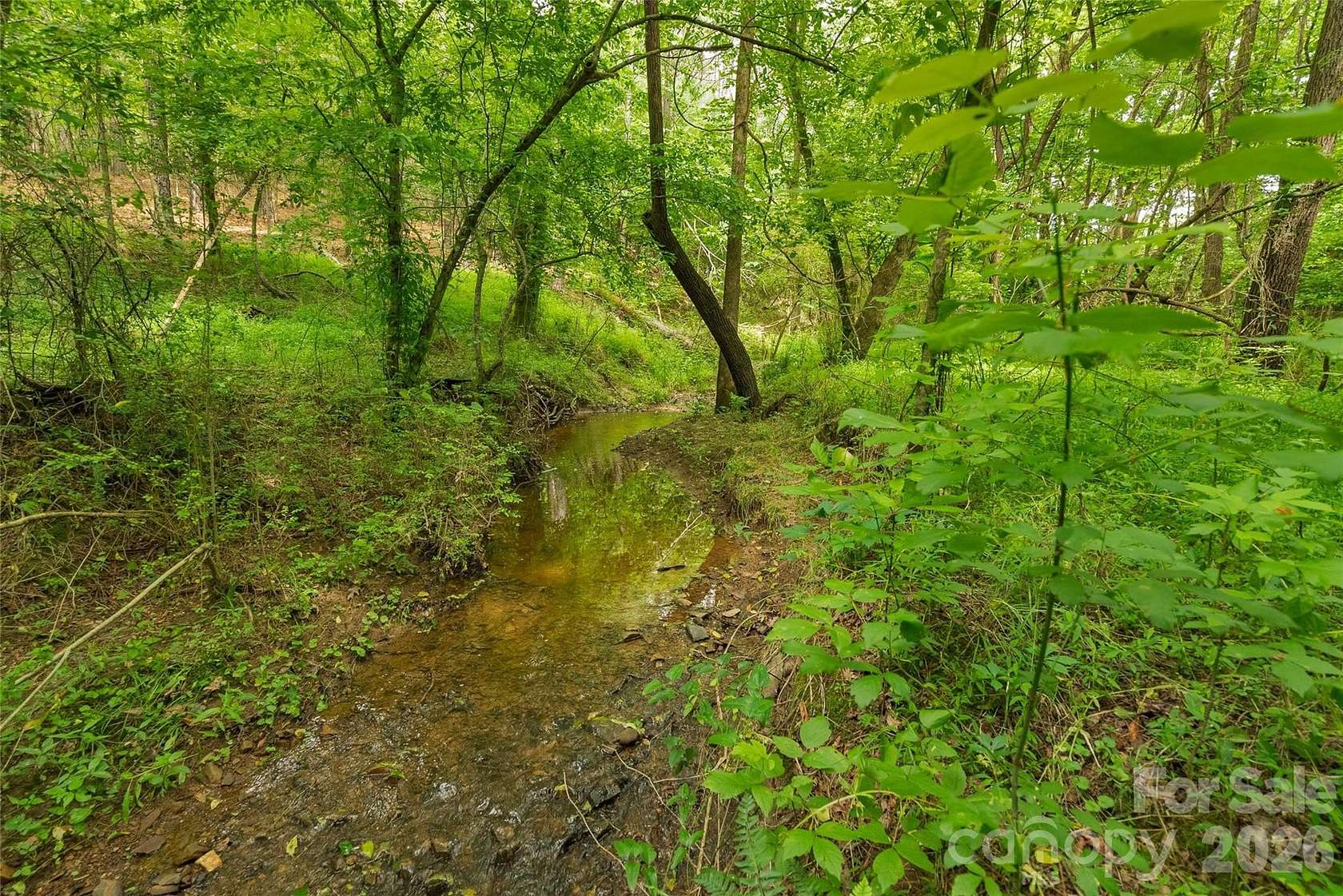 31.2 Acres of Land for Sale in Marshville, North Carolina