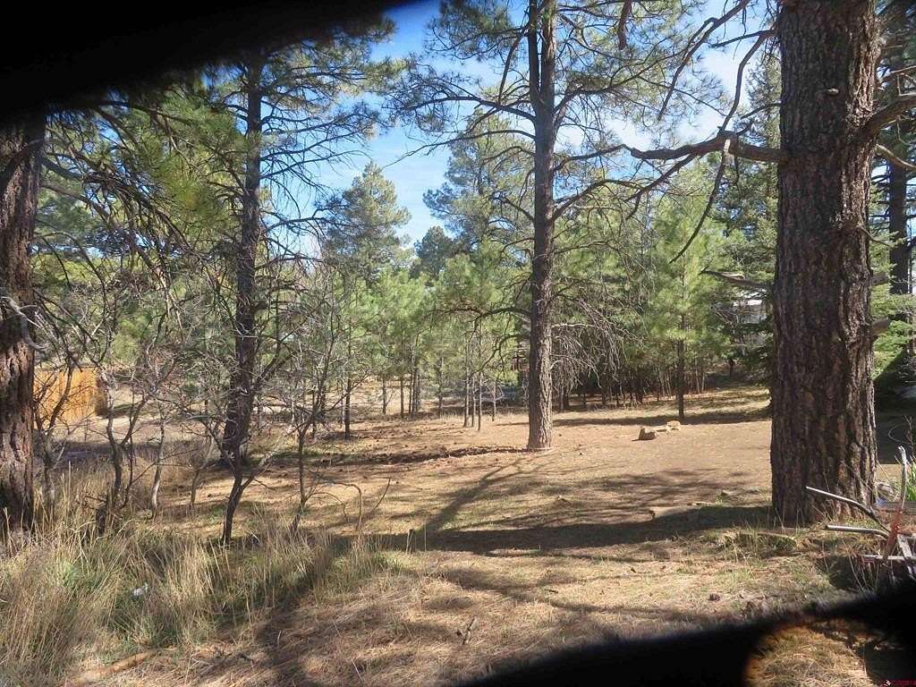 0.28 Acres of Residential Land for Sale in Pagosa Springs, Colorado