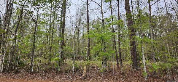 7.55 Acres of Residential Land for Sale in Walker, Louisiana