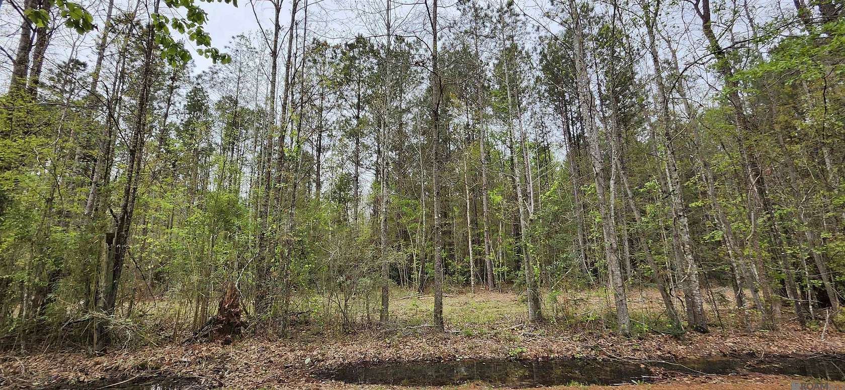 6 Acres of Land for Sale in Walker, Louisiana