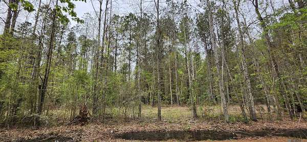 6 Acres of Land for Sale in Walker, Louisiana