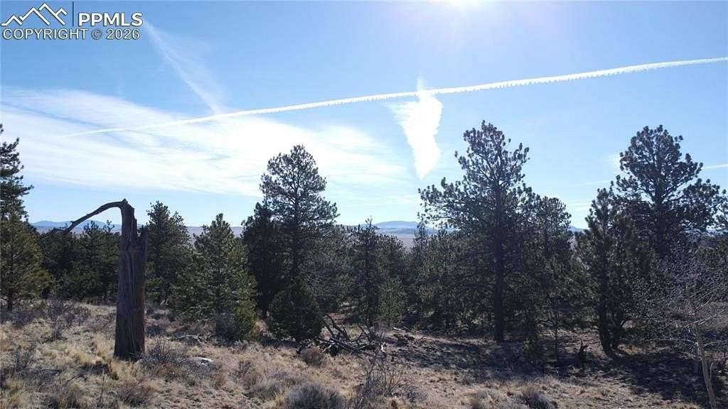 3 Acres of Residential Land for Sale in Hartsel, Colorado