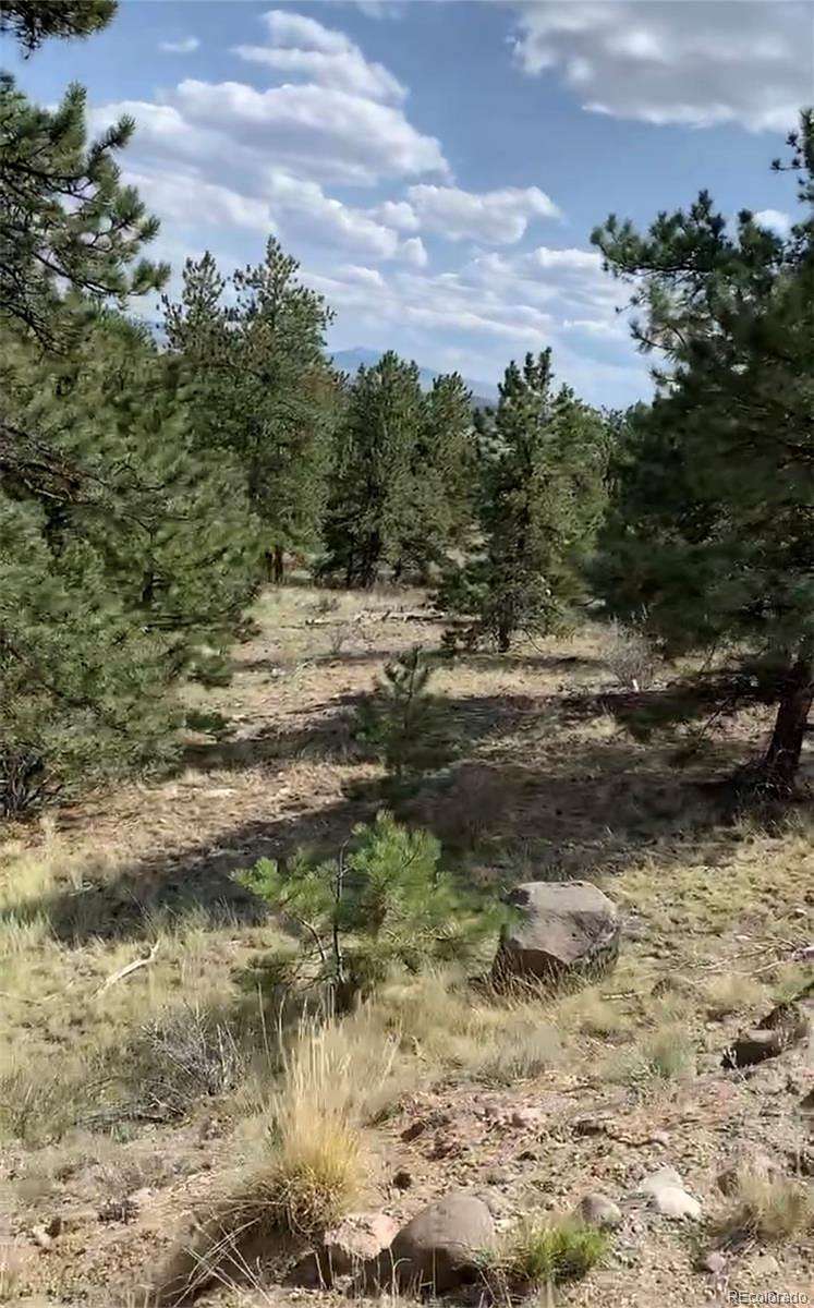 3 Acres of Residential Land for Sale in Hartsel, Colorado
