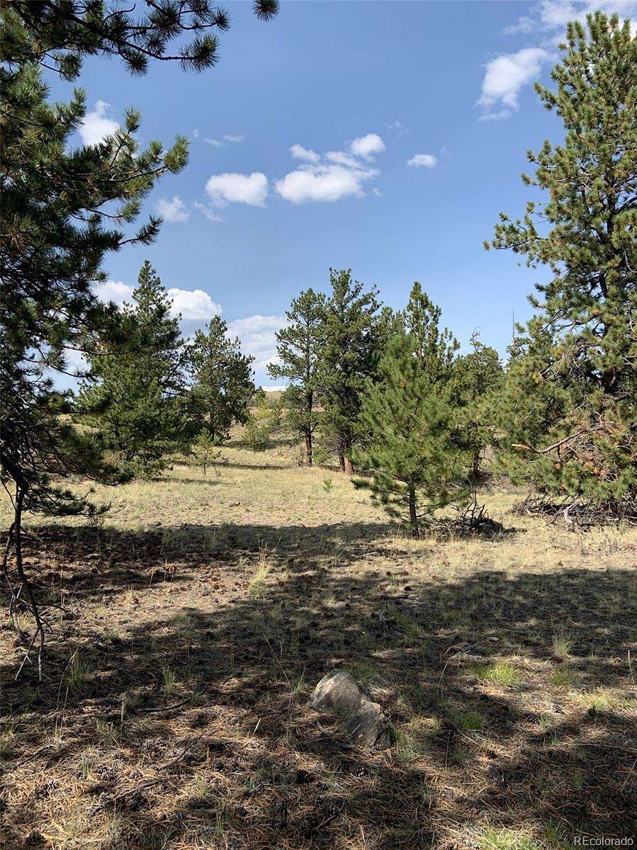 3 Acres of Residential Land for Sale in Hartsel, Colorado
