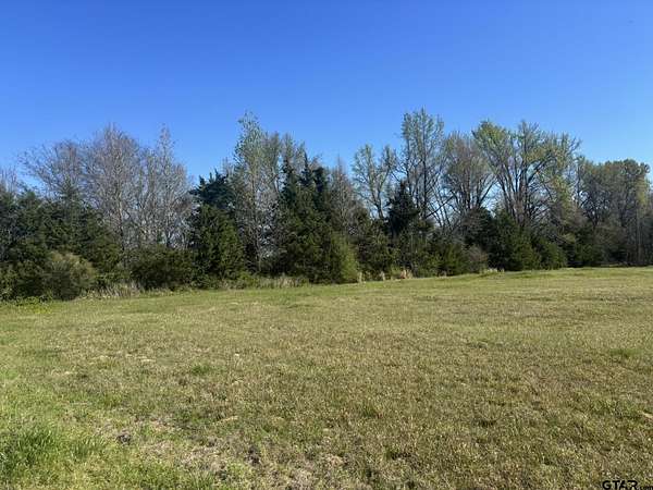 1 Acre of Residential Land for Sale in Pittsburg, Texas