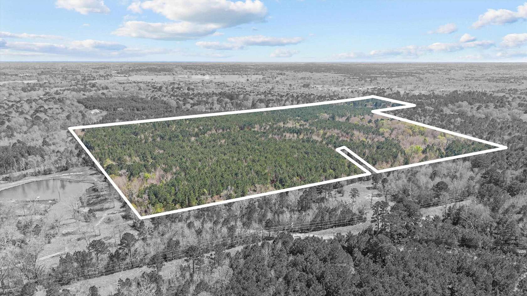 56.5 Acres of Recreational & Residential Land for Sale in Kilgore, Texas