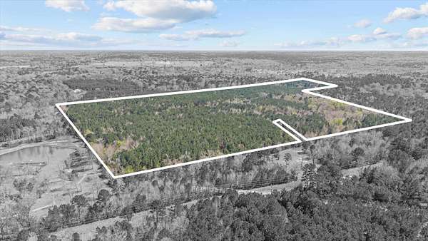 56.5 Acres of Recreational & Residential Land for Sale in Kilgore, Texas