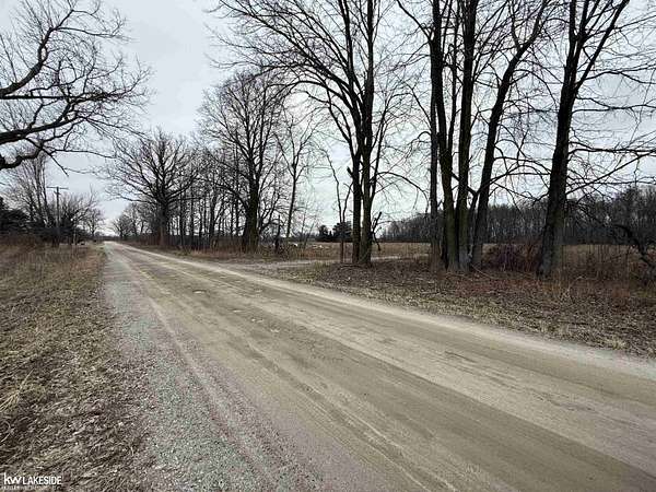 7.46 Acres of Residential Land for Sale in Goodells, Michigan