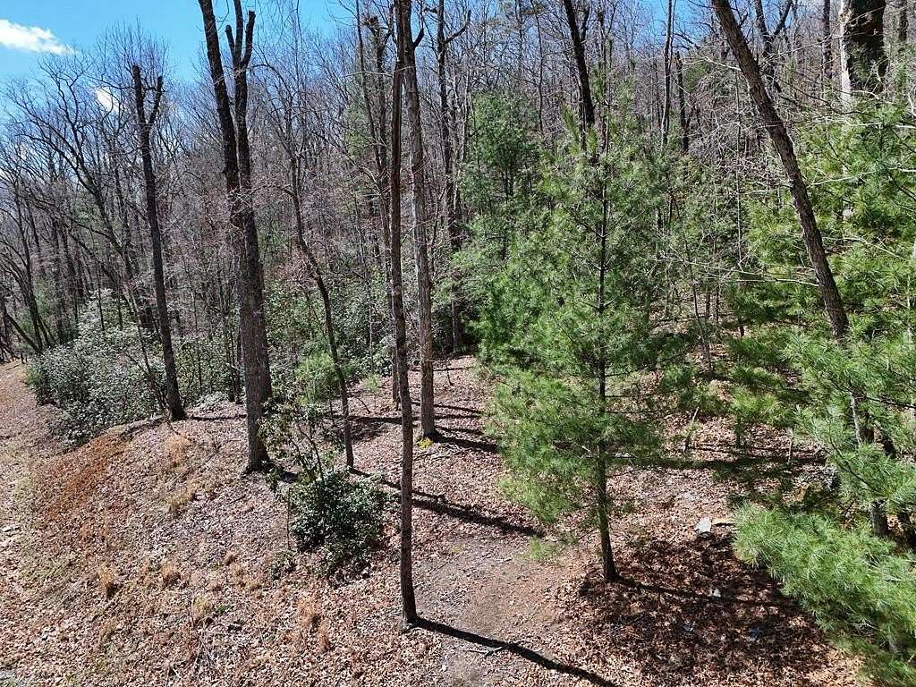 1.73 Acres of Residential Land for Sale in Blue Ridge, Georgia