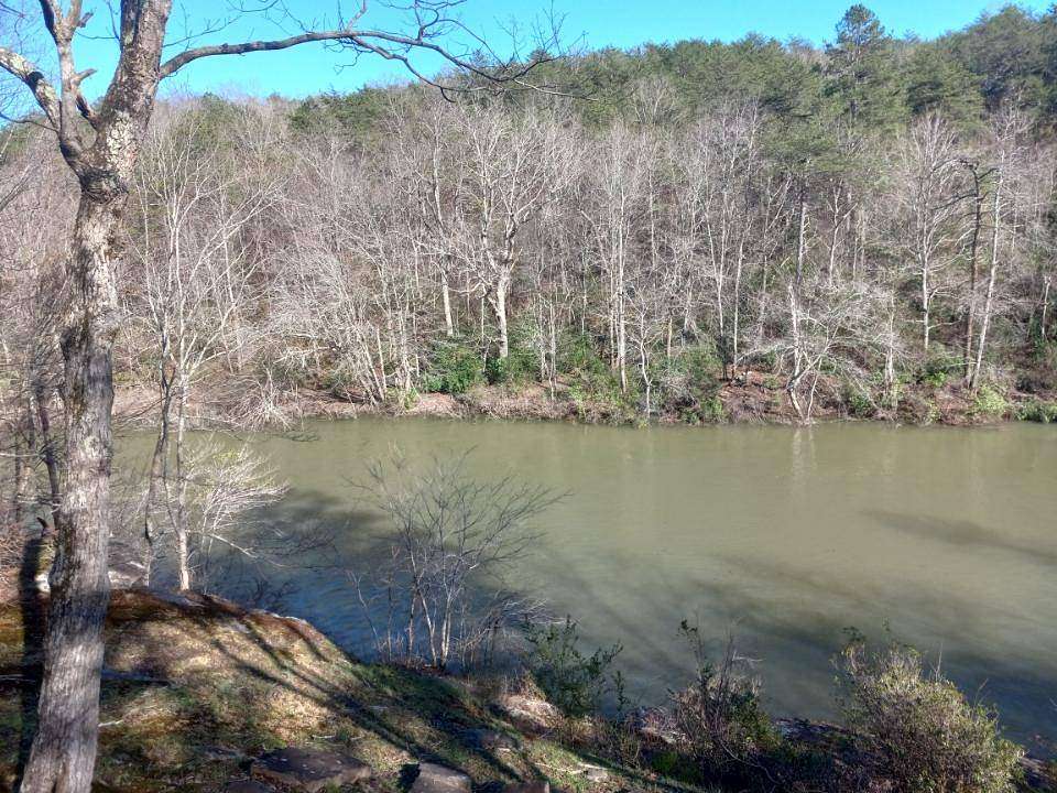 5.5 Acres of Residential Land for Sale in Mentone, Alabama