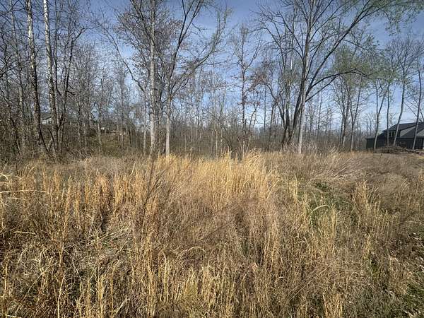 1.16 Acres of Residential Land for Sale in Smithville, Tennessee
