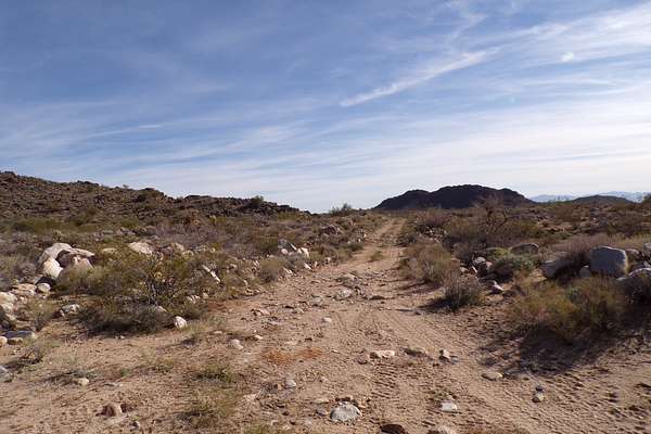 8.43 Acres of Land for Sale in Yucca, Arizona