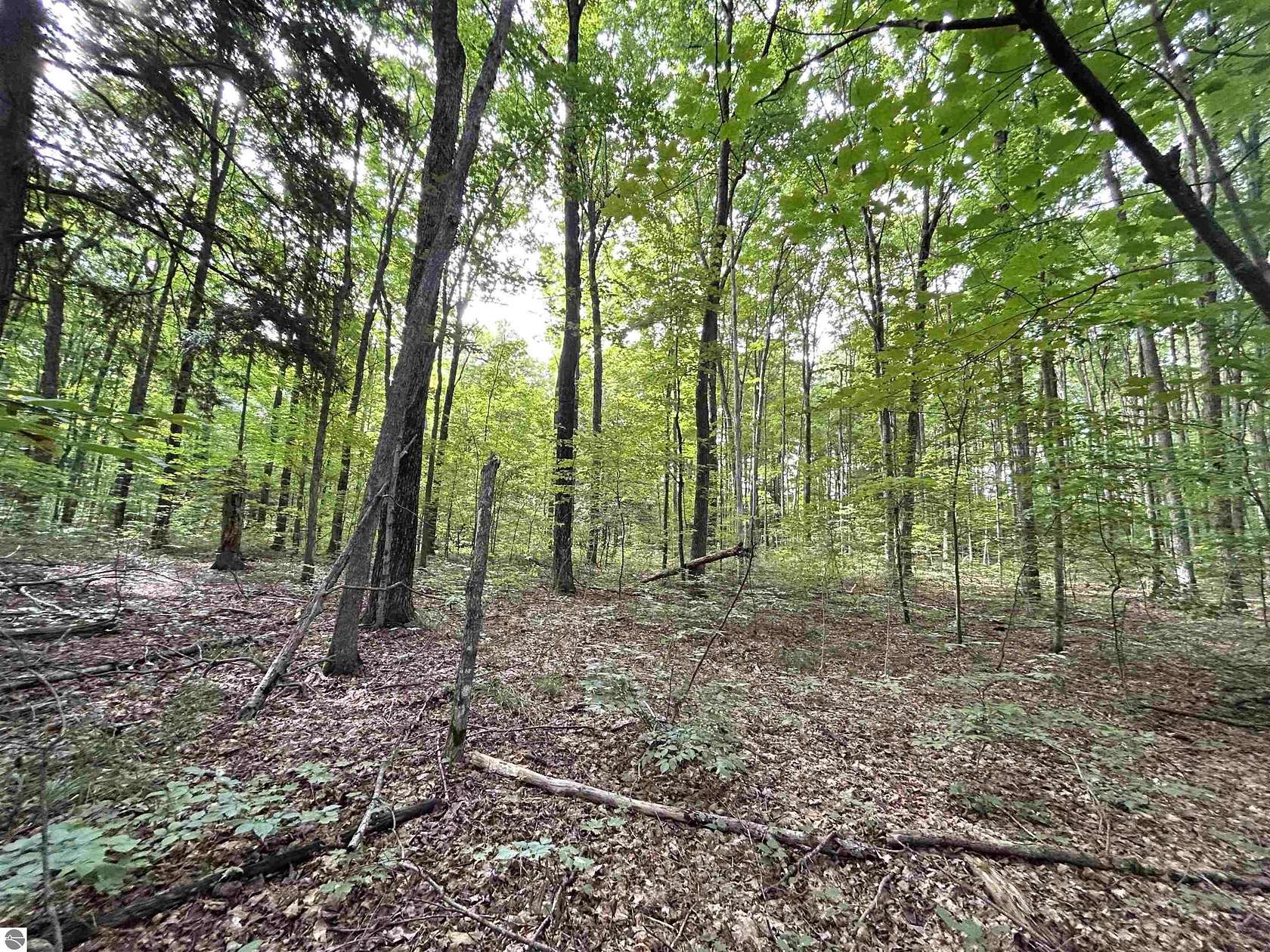 10.1 Acres of Land for Sale in Interlochen, Michigan