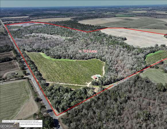 312 Acres of Land for Sale in Damascus, Georgia
