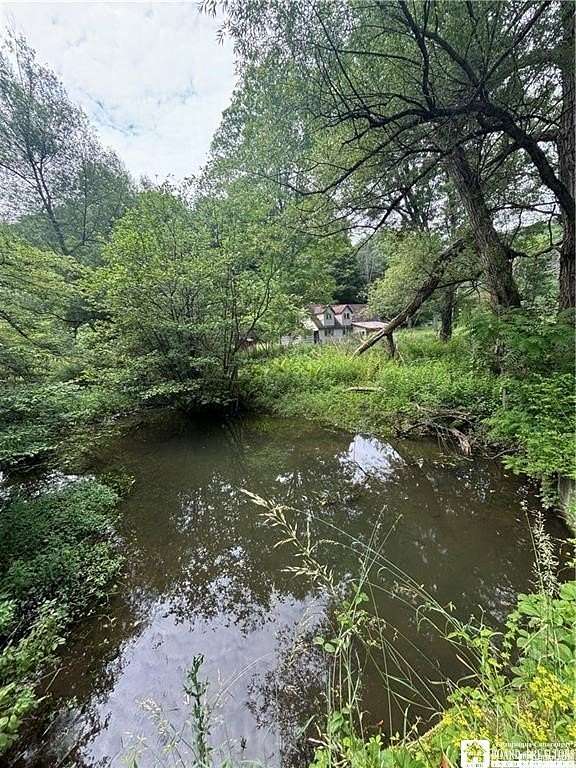 12.2 Acres of Improved Recreational Land for Sale in Hinsdale, New York