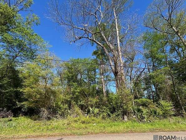 5.4 Acres of Residential Land for Sale in Livingston, Louisiana