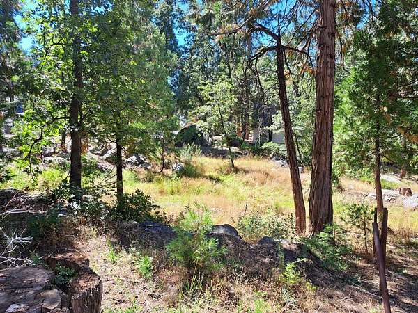 0.16 Acres of Residential Land for Sale in Shaver Lake, California