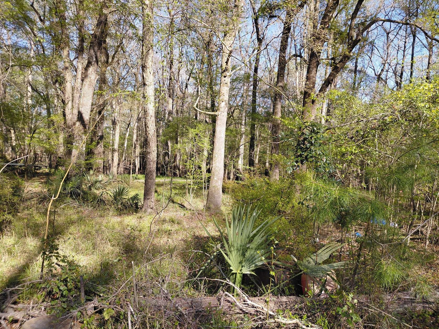 0.62 Acres of Residential Land for Sale in Ridgeville, South Carolina